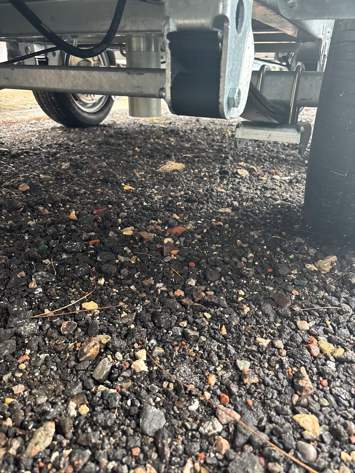 VARIANT 3517 TB 3 Seiten Kipper 3500 KG 320x186 cm mit Gitter und Rampen Neufahrzeug – Bild 5